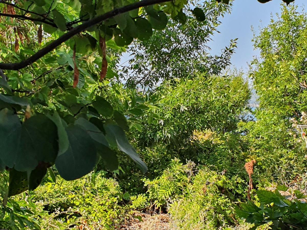 Treti Mart North Daire Primorsko Dış mekan fotoğraf